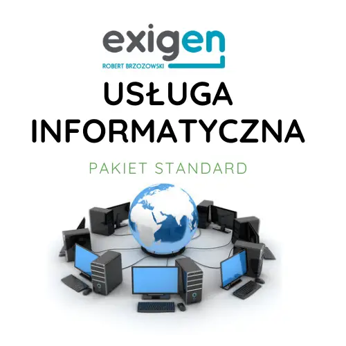 usługa informatyczna